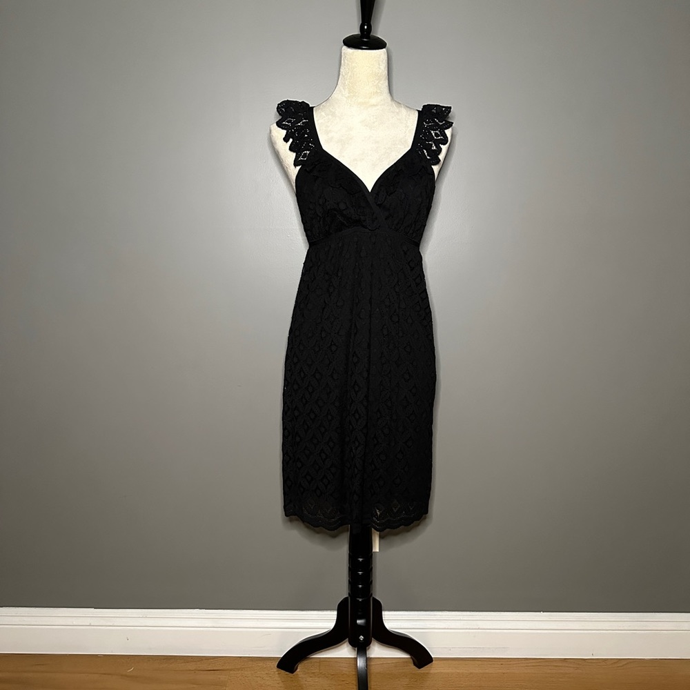 Lace Dress New